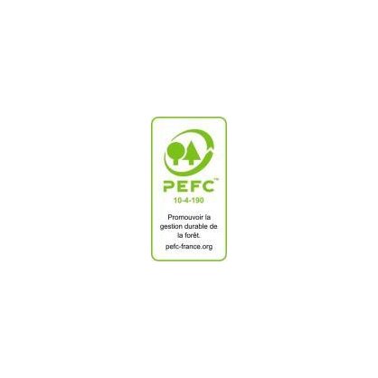 PEFC Contreplaqu CTBX Pin maritime Europanel p. 12 mm 250x125 cm