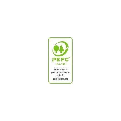 PEFC - Contreplaqu CTBX Pin maritime Europanel p. 21 mm 250x125 cm - Choix II+/III+ TEBOPIN