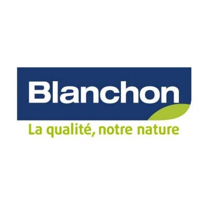 Pâte à Bois Naturel 250g Blanchon  achat, vente sur  parquet-chene-massif.com