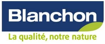 Pâte à bois PIN 500g pour fissures fines - BLANCHON
