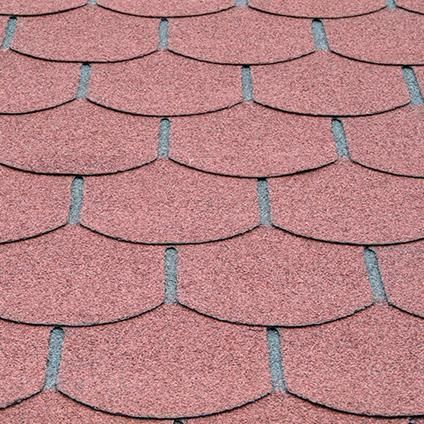 Abri de jardin 40 mm CHAMONIX 388 x 328 cm - 12,73 m²