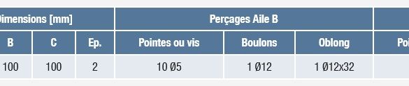 Equerre de structure noire ABR100 - 90x100x100x2 mm SIMPSON