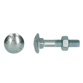 Boulon TRCC avec écrou DIN603 zingué Ø 6x50 mm PGB - Boîte de 200