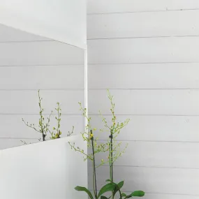 Lambris Sapin Brossé KINNA 12x135x2650 mm Blanc Polaire - Paquet de 1,79 m² - SILVERWOOD