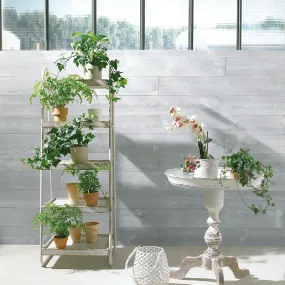 Lame de parement en Pin maritime Aurore 2400x147x15 mm brut de sciage